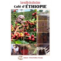 Café d'Ethiopie Moka Sidamo - Les cafés du père Jaco